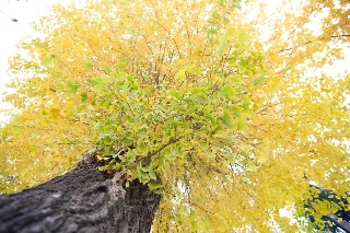「無題」のサムネイル画像