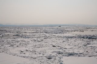 「無題」のサムネイル画像