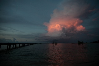 「無題」のサムネイル画像