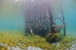「無題」のサムネイル画像