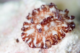 「無題」のサムネイル画像