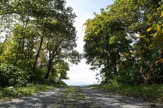 「無題」のサムネイル画像