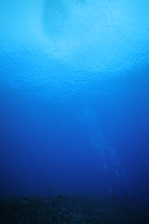 「無題」のサムネイル画像