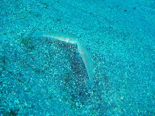 「無題」のサムネイル画像