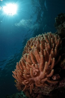 「無題」のサムネイル画像
