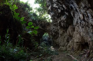 「無題」のサムネイル画像
