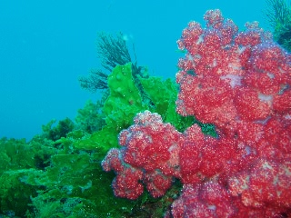 「無題」のサムネイル画像