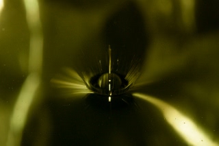 「無題」のサムネイル画像