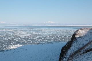 「無題」のサムネイル画像