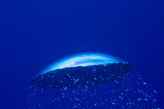 「無題」のサムネイル画像