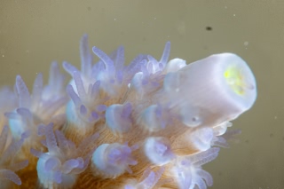 「無題」のサムネイル画像