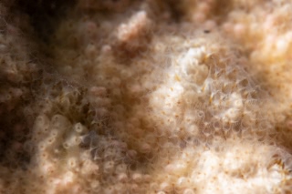 「無題」のサムネイル画像