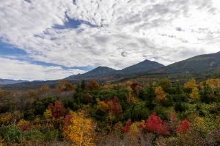 「無題」のサムネイル画像