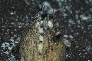 「DSC_0173.JPG」のサムネイル画像