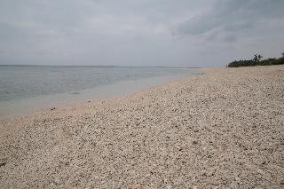 「砂浜」のサムネイル画像