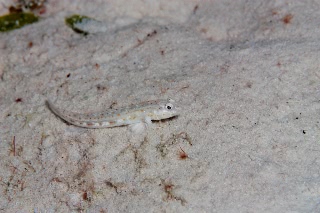 「無題」のサムネイル画像
