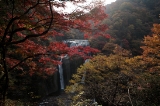 「袋田の滝」のサムネイル画像
