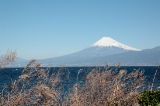 「富士山」のサムネイル画像
