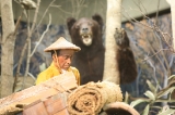 「北海道では熊に注意」のサムネイル画像