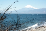 「富士山」のサムネイル画像