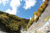 「無題」のサムネイル画像