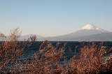 「富士山」のサムネイル画像