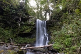「深緑の滝」のサムネイル画像