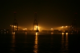 「東京湾に生息するキリン」のサムネイル画像