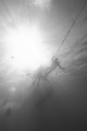 「潜行する体験ダイバー」のサムネイル画像