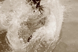 「進水式」のサムネイル画像