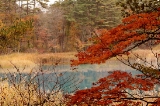 「弁天沼」のサムネイル画像