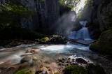「紅葉滝」のサムネイル画像