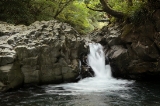 「カニ滝」のサムネイル画像
