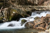 「吐龍の滝下流」のサムネイル画像