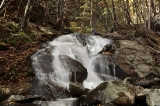 「荒神の滝」のサムネイル画像