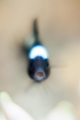 「ミツボシクロスズメダイ(Three-spot Humbug)」のサムネイル画像