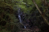 「玉簾の滝」のサムネイル画像