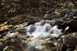 「柳滝」のサムネイル画像