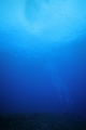 「無題」のサムネイル画像