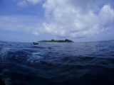 「シパダン島」のサムネイル画像