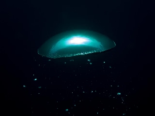 「無題」のサムネイル画像