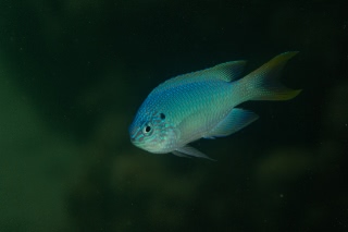 「無題」のサムネイル画像