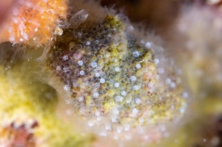 「無題」のサムネイル画像