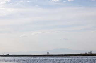 「無題」のサムネイル画像