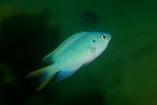 「無題」のサムネイル画像