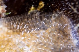 「無題」のサムネイル画像