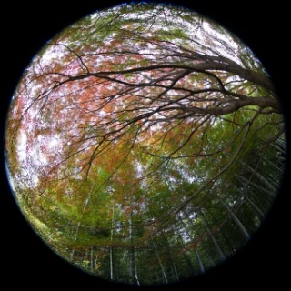 「無題」のサムネイル画像