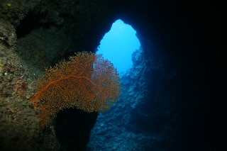 「無題」のサムネイル画像