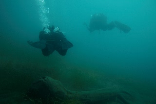 「無題」のサムネイル画像