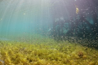 「無題」のサムネイル画像